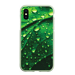 Чехол iPhone XS Max матовый Утренняя роса, цвет: 3D-салатовый