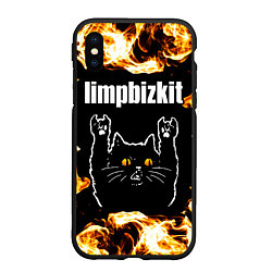 Чехол iPhone XS Max матовый Limp Bizkit рок кот и огонь, цвет: 3D-черный