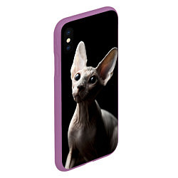 Чехол iPhone XS Max матовый Котик сфинкс, цвет: 3D-фиолетовый — фото 2