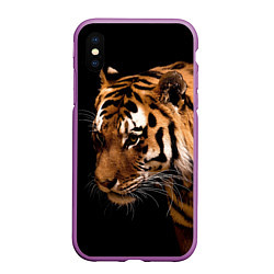 Чехол iPhone XS Max матовый Тигрица, цвет: 3D-фиолетовый