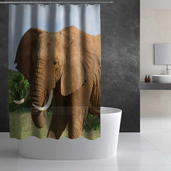 Шторка для душа Рыжий слон, цвет: 3D-принт — фото 2