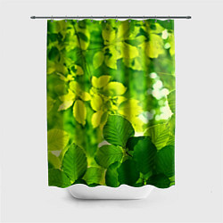 Шторка для душа Зелёные листья, цвет: 3D-принт