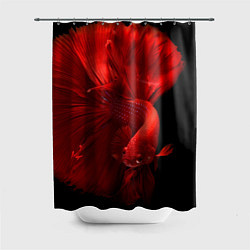 Шторка для душа Бойцовская-рыбка, цвет: 3D-принт