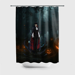 Шторка для душа Вампир Сон Джин-Ву - Поднятие уровня в одиночку ан, цвет: 3D-принт