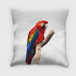 Подушка квадратная Яркий попугай, цвет: 3D-принт