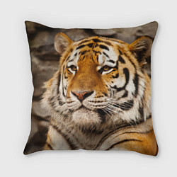 Подушка квадратная Мудрый тигр, цвет: 3D-принт