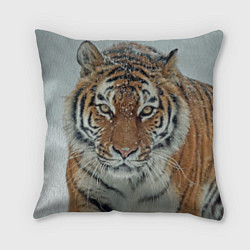 Подушка квадратная Тигр в снегу, цвет: 3D-принт