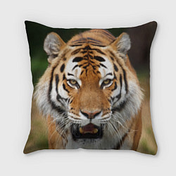 Подушка квадратная Рык тигра, цвет: 3D-принт