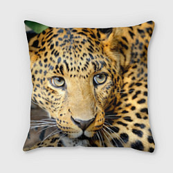Подушка квадратная Улыбка леопарда, цвет: 3D-принт
