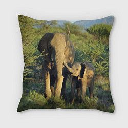 Подушка квадратная Семья слонов в природе, цвет: 3D-принт