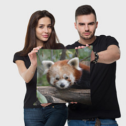 Подушка квадратная Красная панда, цвет: 3D-принт — фото 2