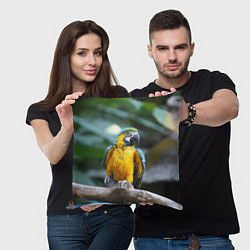 Подушка квадратная Красавец попугай, цвет: 3D-принт — фото 2