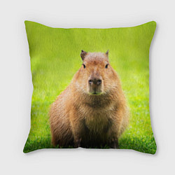 Подушка квадратная Capybara on green grass, цвет: 3D-принт