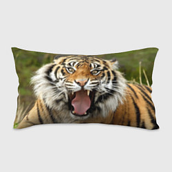 Подушка-антистресс Удивленный тигр, цвет: 3D-принт