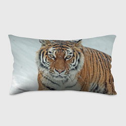 Подушка-антистресс Тигр в снегу, цвет: 3D-принт