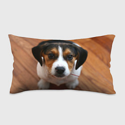 Подушка-антистресс Глазастый щенок, цвет: 3D-принт