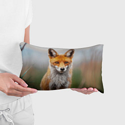 Подушка-антистресс Рыжая лисица, цвет: 3D-принт — фото 2