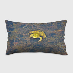 Подушка-антистресс Лягушка, цвет: 3D-принт