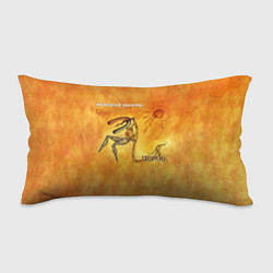 Подушка-антистресс ЖЕЛЕЗНЫЕ МАНТРЫ Пикник, цвет: 3D-принт