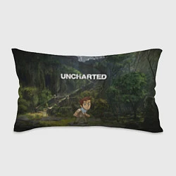 Подушка-антистресс Uncharted На картах не значится, цвет: 3D-принт