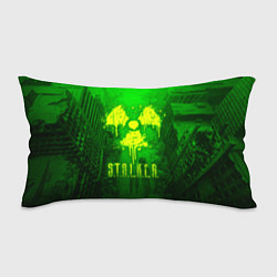 Подушка-антистресс STALKER LOGO RADIATOIN NEON TOXIC, цвет: 3D-принт