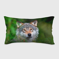 Подушка-антистресс Волк на фоне зелени, цвет: 3D-принт