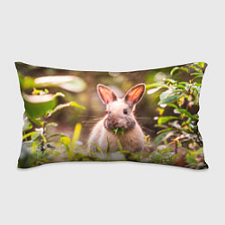 Подушка-антистресс Милый кролик, цвет: 3D-принт