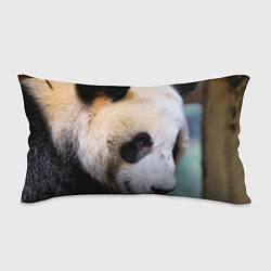 Подушка-антистресс Загадочная панда, цвет: 3D-принт