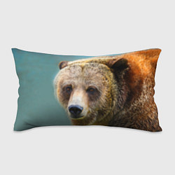 Подушка-антистресс Русский бурый медведь, цвет: 3D-принт
