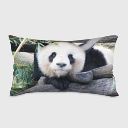 Подушка-антистресс Панда отдыхает, цвет: 3D-принт