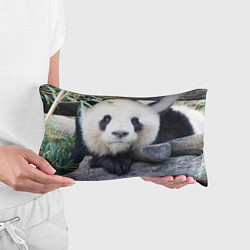 Подушка-антистресс Панда отдыхает, цвет: 3D-принт — фото 2
