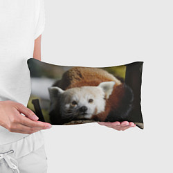 Подушка-антистресс Красная панда ждёт, цвет: 3D-принт — фото 2