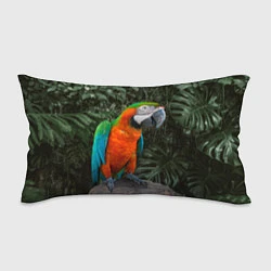 Подушка-антистресс Попугай Макао, цвет: 3D-принт