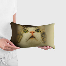 Подушка-антистресс Удивленный кот - мем крупным планом, цвет: 3D-принт — фото 2