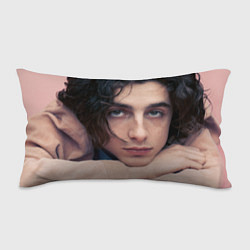 Подушка-антистресс Timothe Chalamet on a pink background, цвет: 3D-принт