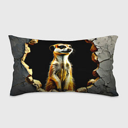 Подушка-антистресс Сурикат на черном, цвет: 3D-принт
