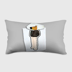 Подушка-антистресс Чиловый парень - свидетель мем, цвет: 3D-принт