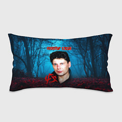 Подушка-антистресс Сектор газа вечерний лес, цвет: 3D-принт