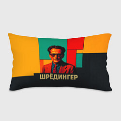Подушка-антистресс Шредингер поп-арт, цвет: 3D-принт