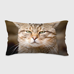 Подушка-антистресс Взгляд кошки, цвет: 3D-принт