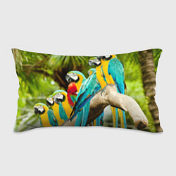 Подушка-антистресс Попугаи на ветке, цвет: 3D-принт