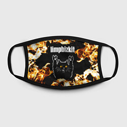 Маска для лица Limp Bizkit рок кот и огонь, цвет: 3D-принт — фото 2
