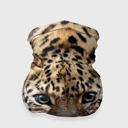 Бандана-труба Дикая кошка, цвет: 3D-принт
