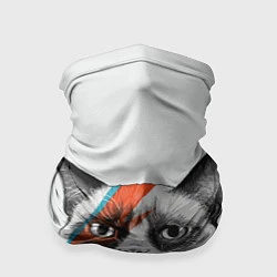 Бандана David Bowie: Grumpy cat