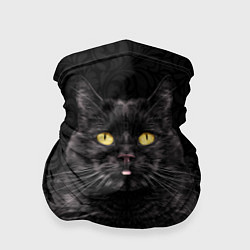 Бандана-труба Чёрный котик, цвет: 3D-принт