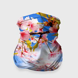 Бандана-труба Сакура, цвет: 3D-принт