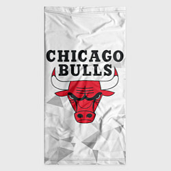 Бандана-труба CHICAGO BULLS, цвет: 3D-принт — фото 2