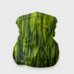 Бандана-труба Ландшафт зелень, цвет: 3D-принт