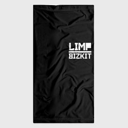 Бандана-труба Lim Bizkit logo, цвет: 3D-принт — фото 2