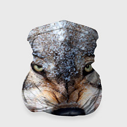 Бандана-труба Взгляд волка, цвет: 3D-принт